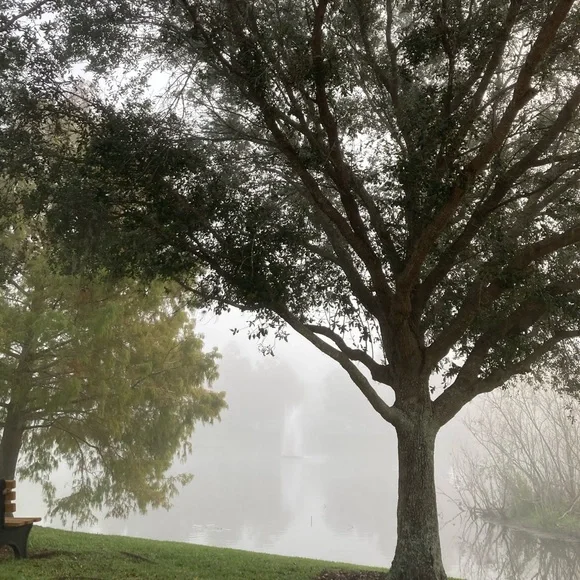 House Blessings, Prosperity, Protection Witch Ball set - Picture 10 of 14